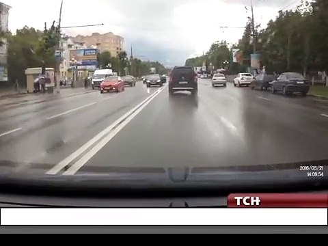 В Туле девушка спасла котенка от верной гибели под колесами автомобилей
