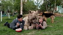 A Russian couple lives with a bear for 23 years