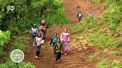 Didos, los espacios sagrados del bosque | Global 3000