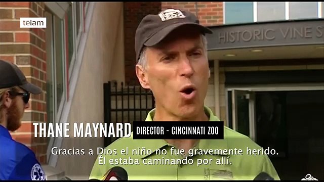 Muerte de gorila en cincinnati para salvar un niño que cayo