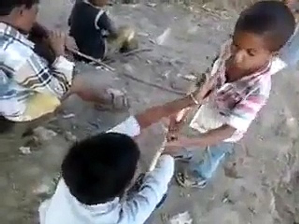 WhatsApp most funny videos....