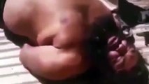 Video: ISIS Executioner The Bulldozer Captured