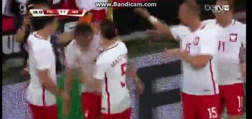 Artur Jedrzejczuk Goal - poland 1-1 Netherlands -01-06-2016