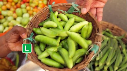 Reza - Spice Prince of India Nesta Sexta 20 - 00