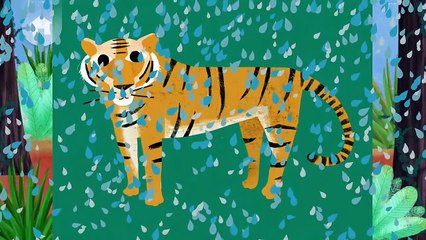 Animal Match Up | Baby Learn The Names Of The Animals | Funny Animals Game For Kids