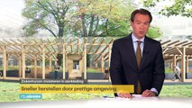 RTL4 Nieuws 20 juni 2015 Chemokuur in tuin slaat beter aan