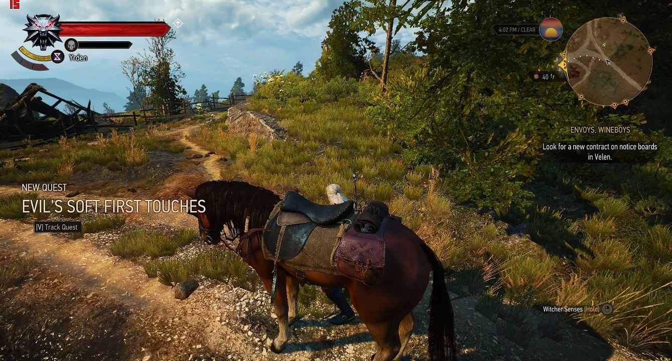The Witcher 3: Blood and Wine GTS 450 900p gameplay