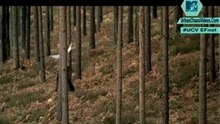 Coldplay - The Scientist