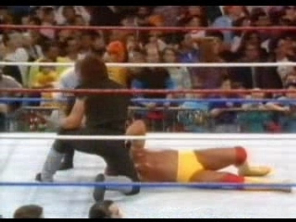 Hogan vs taker
