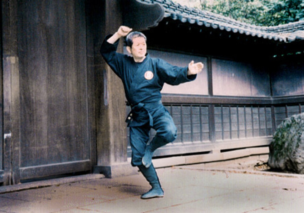 Masaaki Hatsumi Bujinkan Dojo