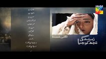 Zindagi Tujh Ko Jiya Episode 58 Promo HD HUM TV Drama 30 May 2016