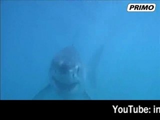 Edizione del 06/07/2007