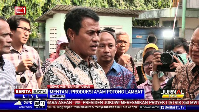 Harga Daging Ayam Naik, Mentan Sidak ke Pemotongan Ayam