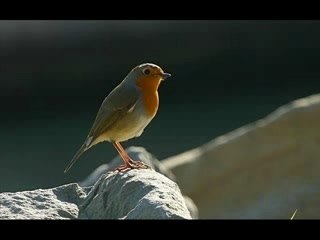 YouTube - Sudanese Band