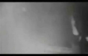 serefsiz almanya ve turk asilli yerli kopekleri buna ne diyceksiniz peki