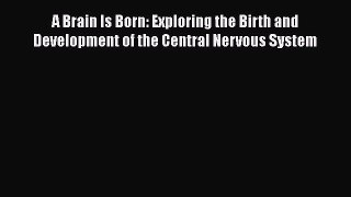 Read A Brain Is Born: Exploring the Birth and Development of the Central Nervous System Ebook