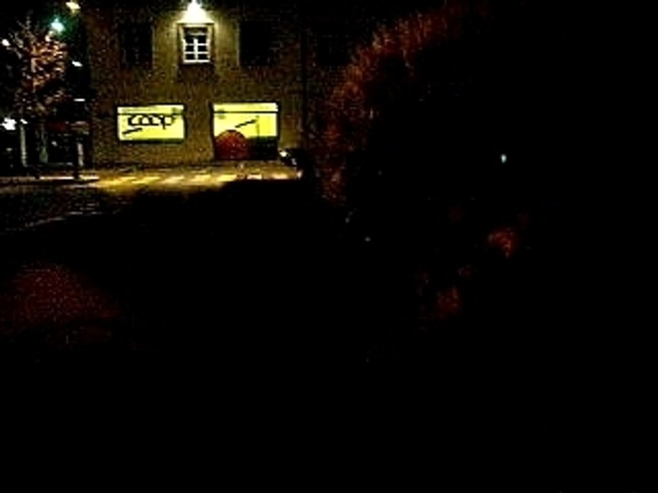 DSCN0529