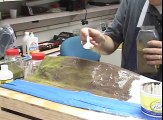 How To Make Model Railroad Scenery