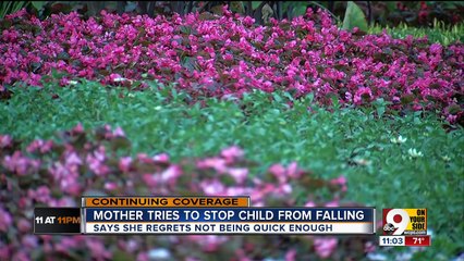 Woman tried to stop boy from falling into gorilla enclosure