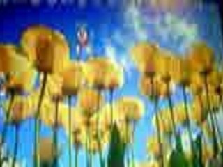 Konata bailando encima de unas flores