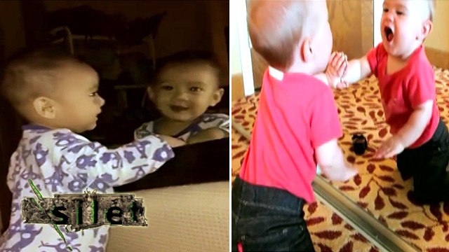 Beragam Ekspresi Lucu Bayi Saat Bercermin - Silet 02 Juni 2016