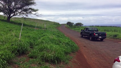 Road to Hana, Maui