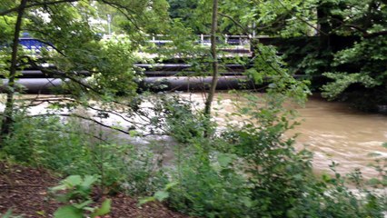 Savigny-sur-Orge. Crue de l'Orge : les inondations du 2 juin 2016.