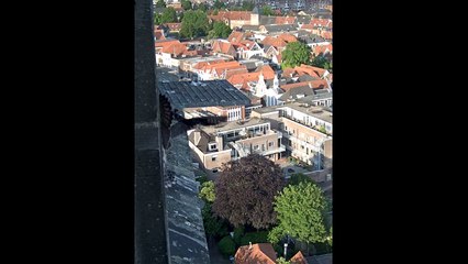 Slechtvalken OLV Toren Amersfoort 20160531 Voor het eerst aan de wandel