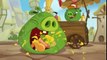 Angry Birds { Stalker }