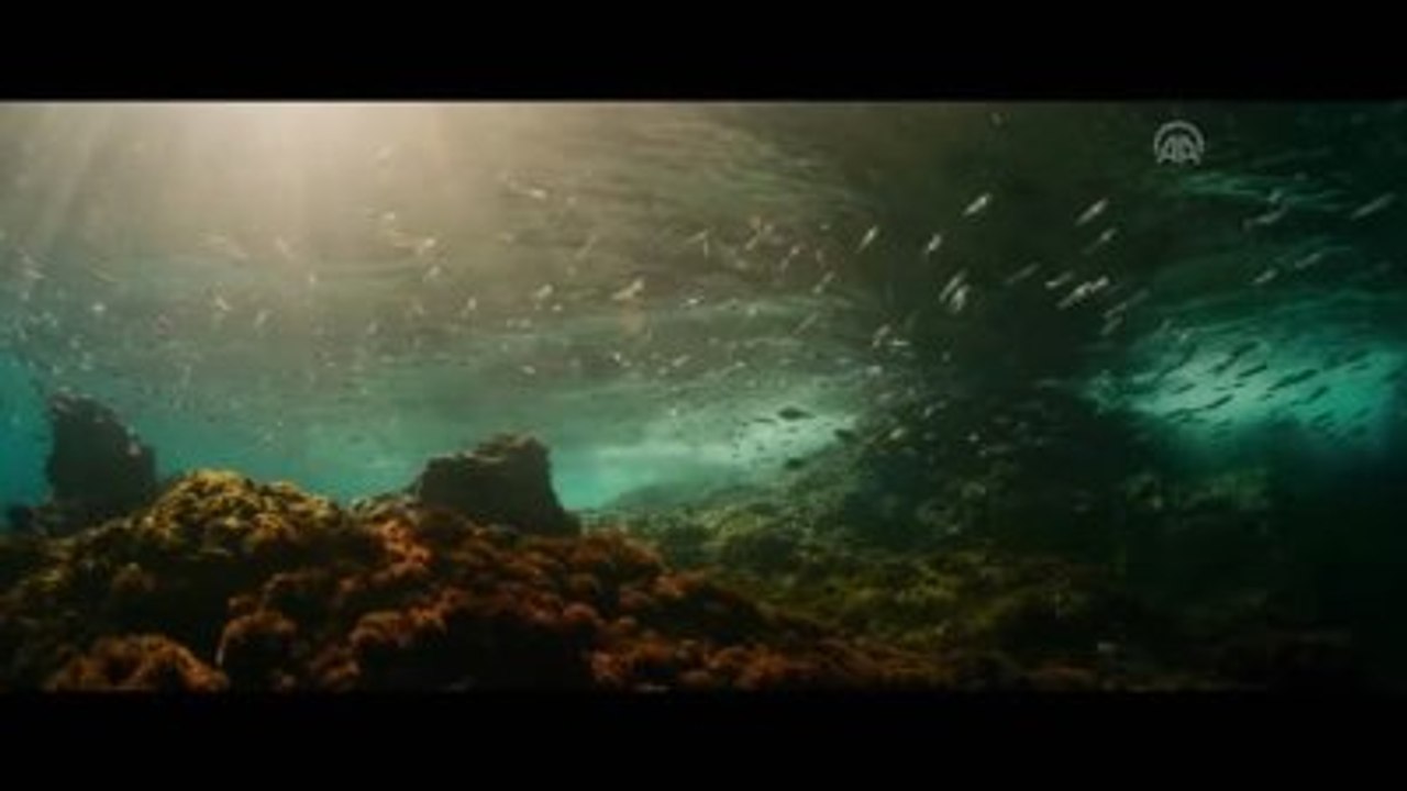Sinema - Evrim