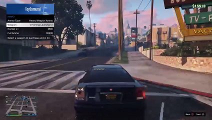 GTA V random good times (49)