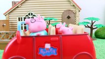 Pig George e Familia Peppa Pig tem medo de cair da rede Novelinha do Funtoyskids