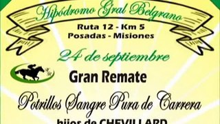 Remate Potrillos Chevillard - Posadas 24 de septiembre