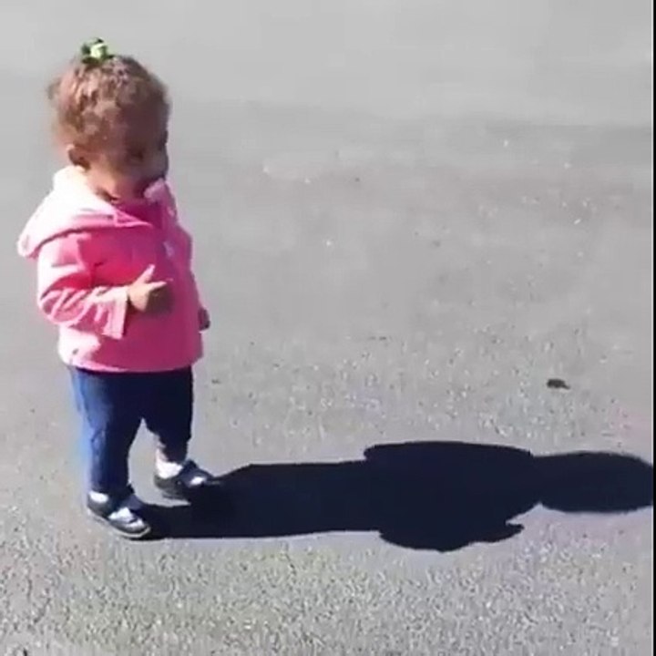 Funniest And Craziest Videosss