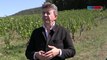 Deux viticulteurs créent une cuvée spéciale en soutien à Jean-Luc Mélenchon