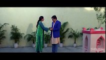 Tere Pyar Ne - Govinda - Raveena Tandon - Rajaji - Udit Narayan - Anand Milind - Hindi Hit Songs