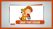 Want To Train Dog? We are dog walkers Chicago! - smartpawschicago.com