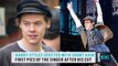 Harry Styles Is Spotted Showing Off His Short Hair | E! News