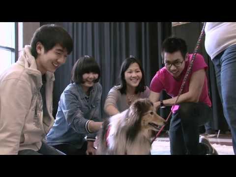 Puppy Love at McGill