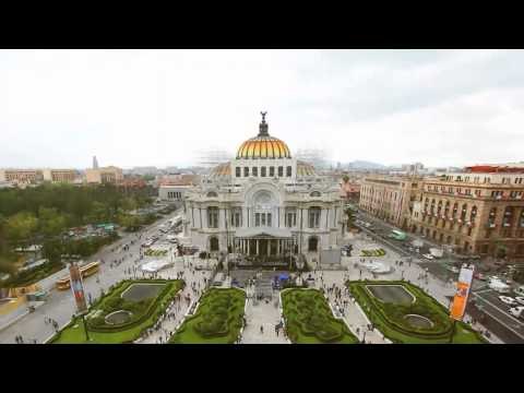 Bachelor of International Studies