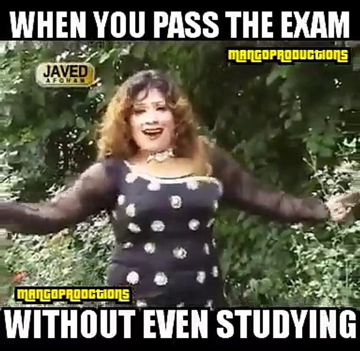 When You Pass The Exams With Studing Hilarious