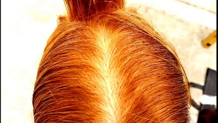 hairstyles  (braided Updo)
