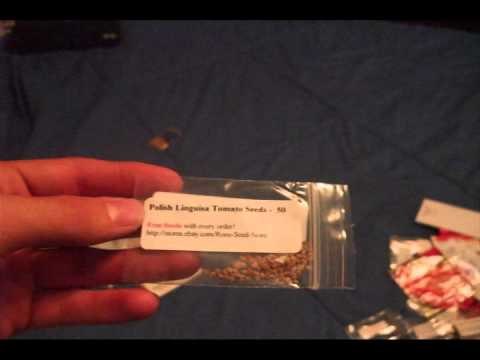 Tomatoes Tomatoes Tomatoes!