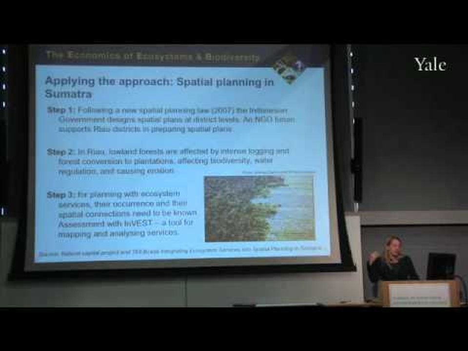 Local & Regional Policy & Management: Cities and Spatial Planning
