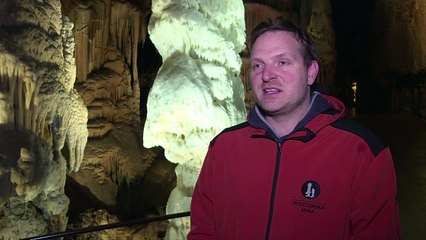Grottenolm-Eier locken Touristen in slowenische Höhle