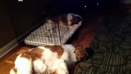 Est-ce que cela veut dire qu'on part en vacances ?