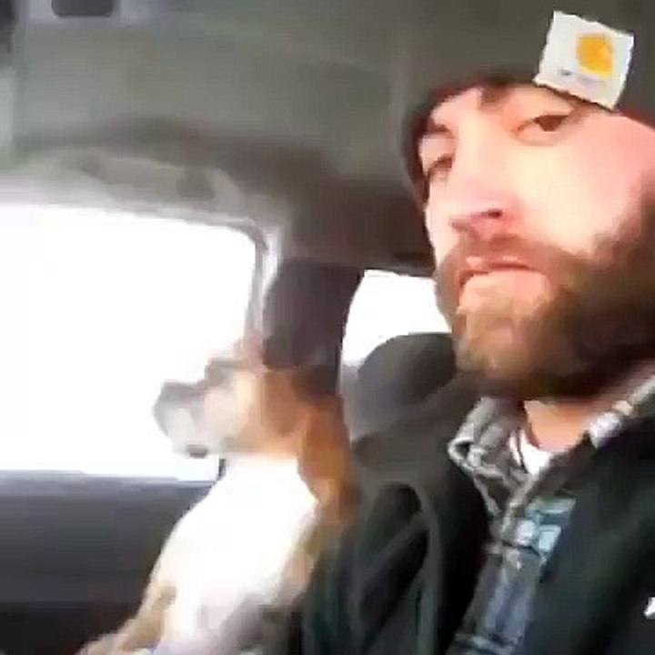 Этот взгляд