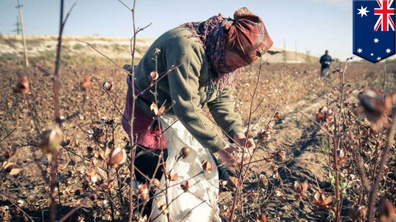 46 million people worldwide are trapped in modern slavery, says Global Slavery Index