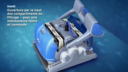Dolphin : les caractéristiques suprême