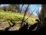 Picnic interrupted by a squirrel (squirrel steals GoPro Session)